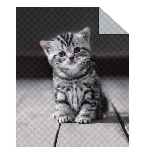Kinder Tagesdecke aus 100% Polyester - Katze - 170 x 210 cm